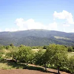 And Ambrozic Casa de hóspedes Vremski Britof