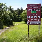 And Ambrozic