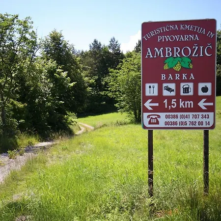 And Ambrozic