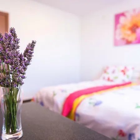 And Ambrozic Guest house